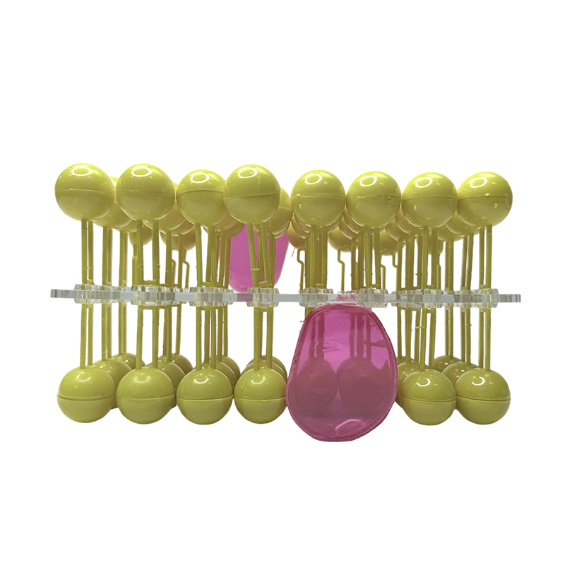 Cell membrane structure anatomy model flow mosaic component biological teaching demonstration equipment science