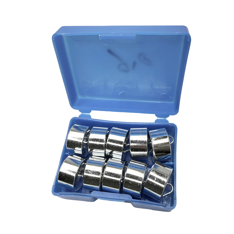 Educational hooked weight set 50gx10PCS/school physics lab instrument science experiment and teaching kit